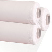 Wright & Co. Poly Pro Ultra smooth Triple Primed Roll 12oz (10m x 2.16m)